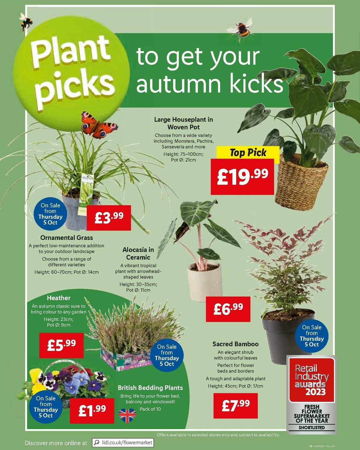 Lidl Uk Offers Special Buys From October Page