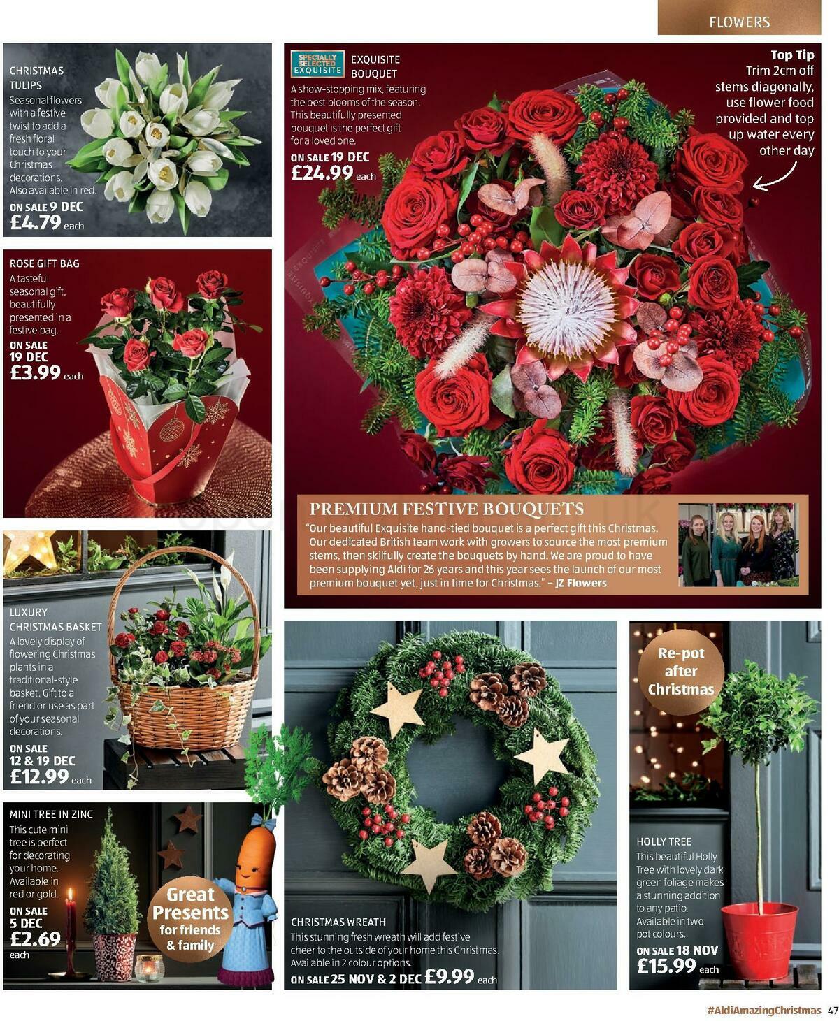 ALDI Christmas Brochure Offers from 10 November