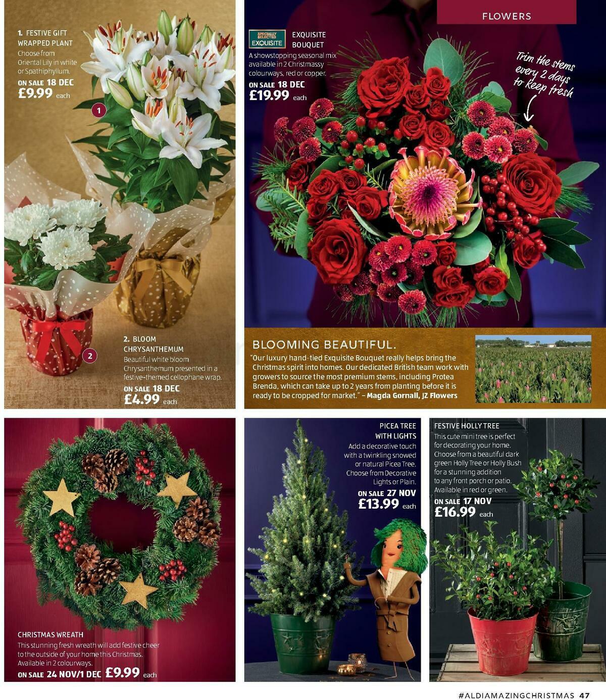 ALDI Christmas Brochure Offers from 18 November