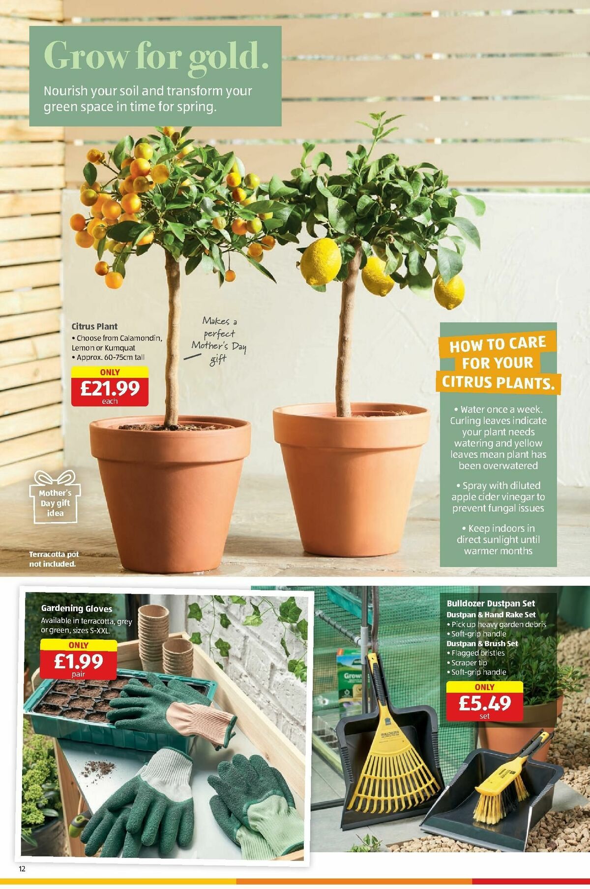 ALDI Offers from 26 February