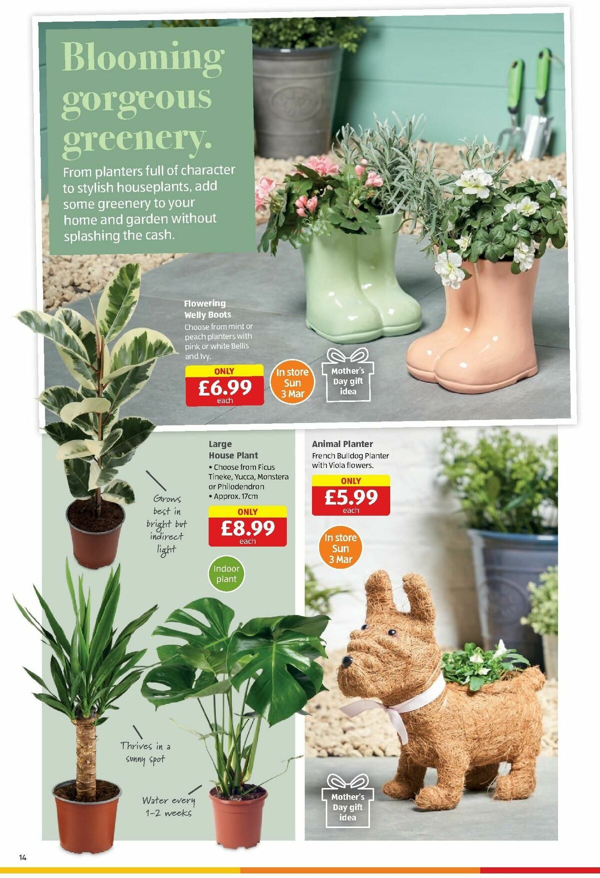 ALDI Offers from 26 February