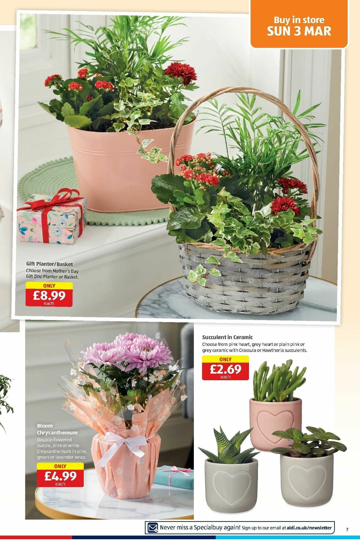 ALDI Offers from 26 February