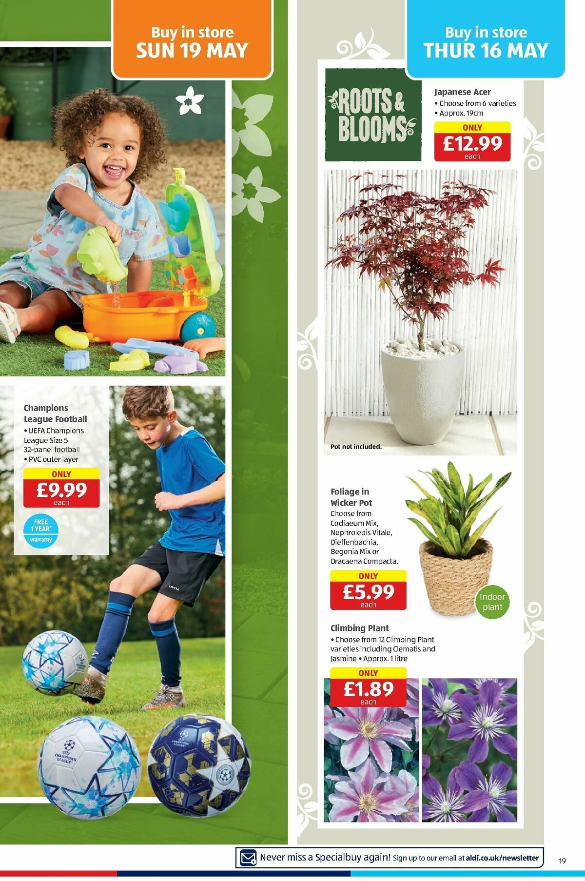 ALDI Offers from 13 May