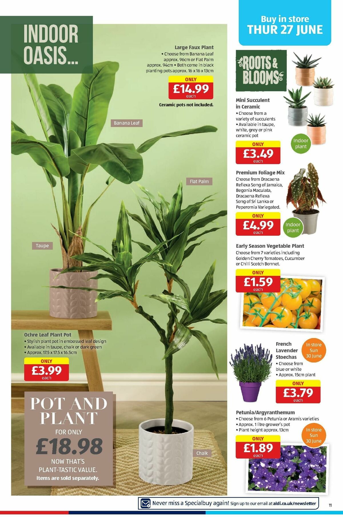 ALDI Offers from 24 June