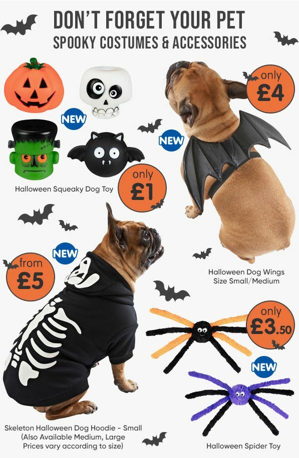 B&M Halloween Offers from 7 September