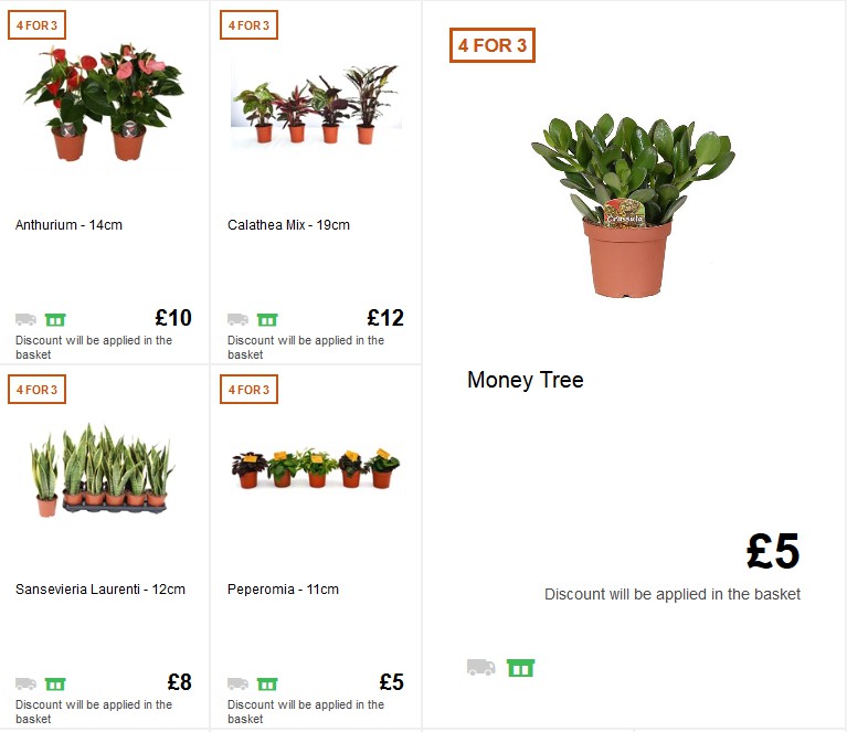 Homebase Offers from 5 June