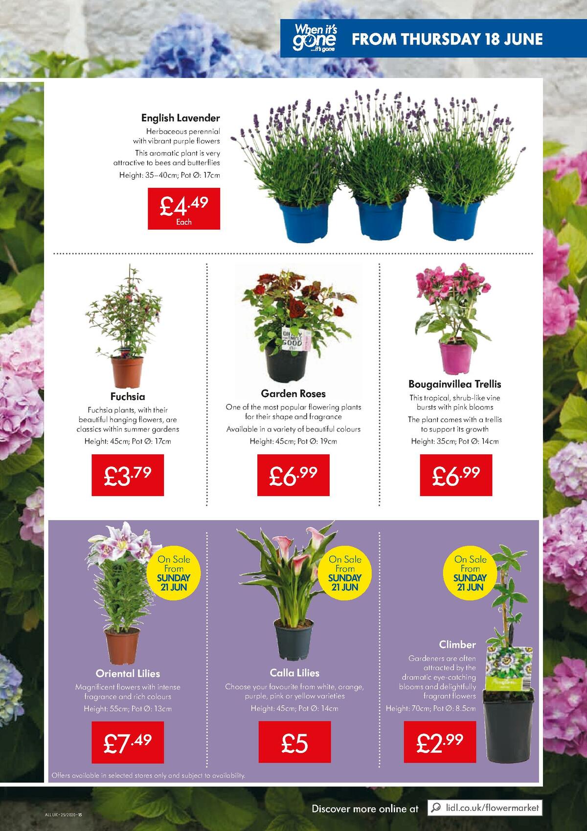 LIDL Offers from 18 June