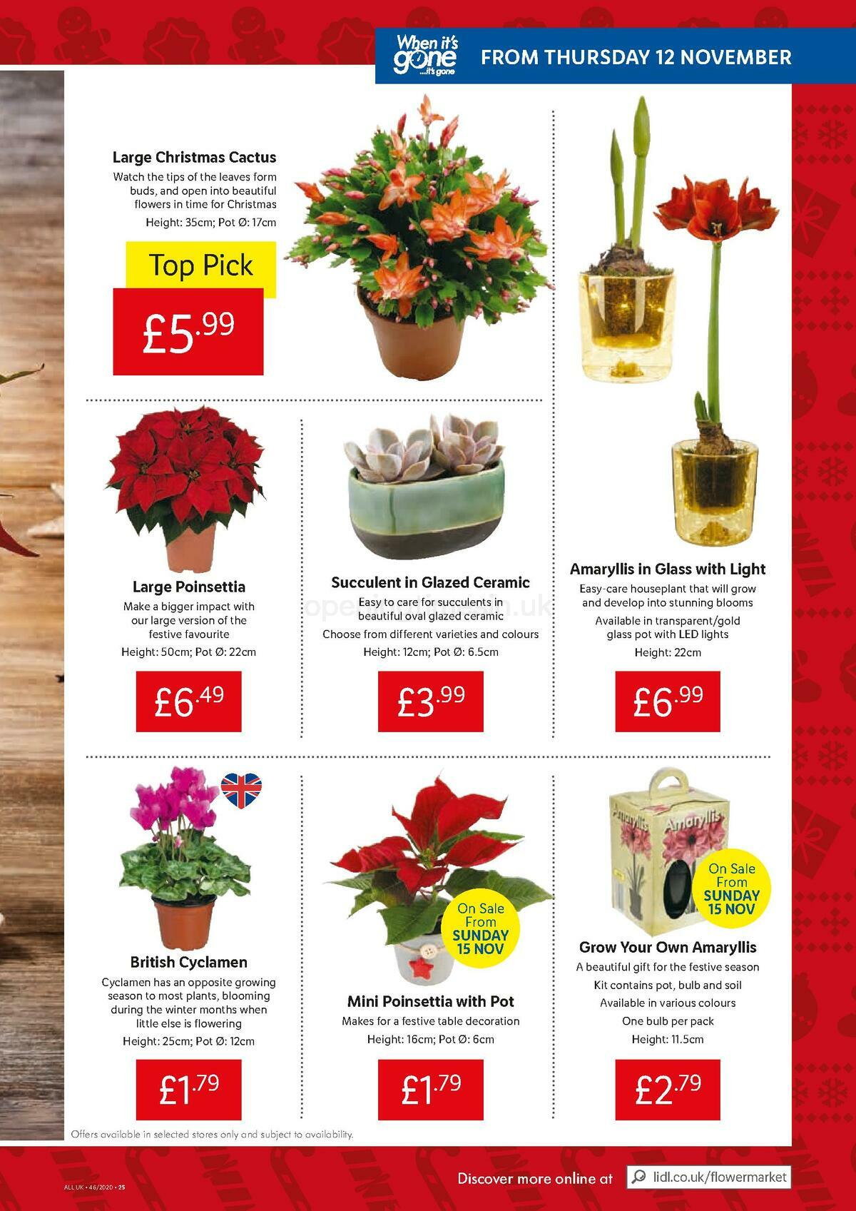 LIDL Offers from 12 November