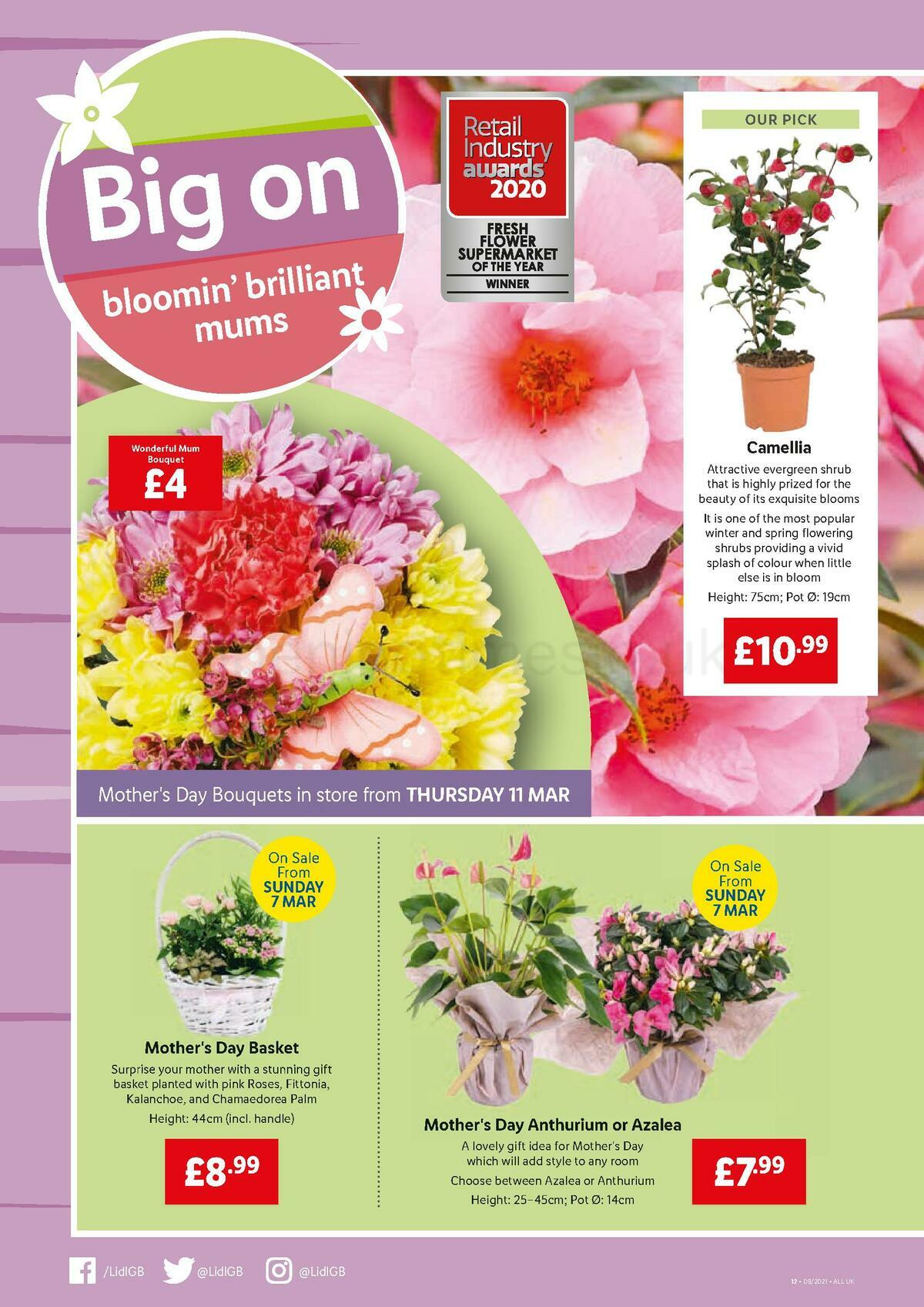 LIDL Offers from 4 March