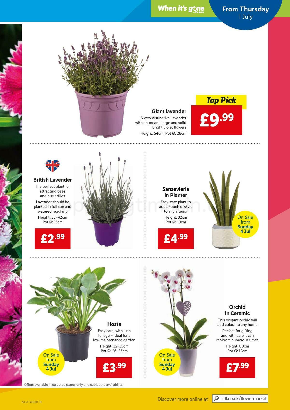 LIDL Offers from 1 July