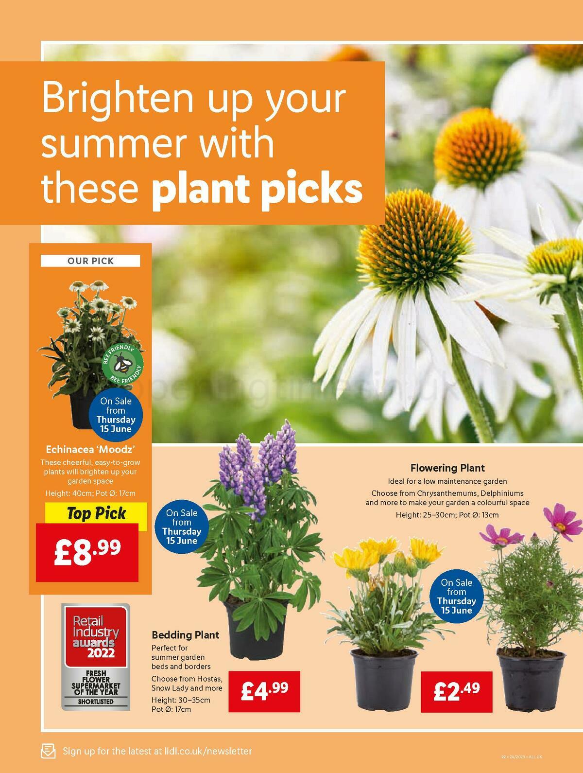 LIDL Offers from 15 June