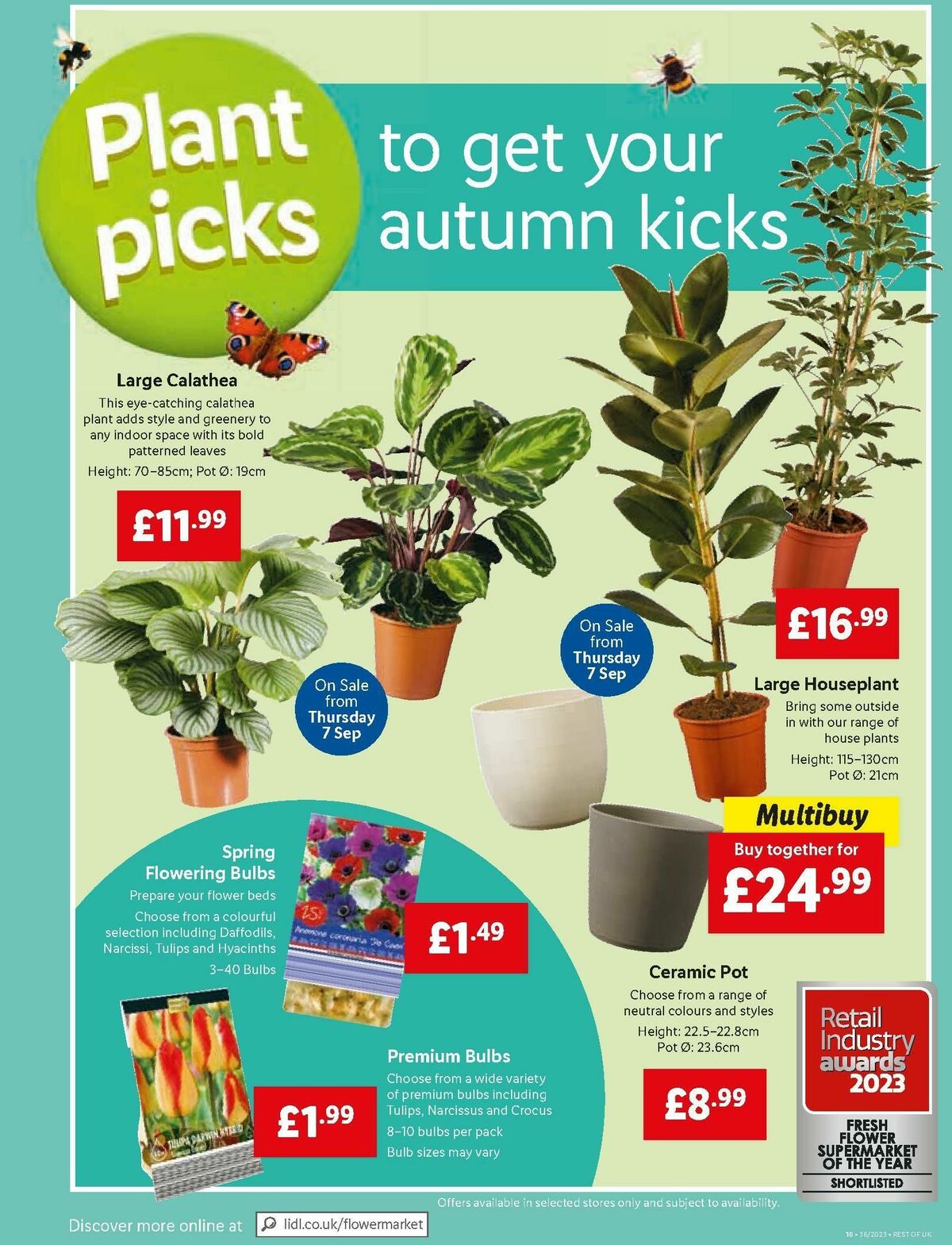 LIDL Offers from 7 September