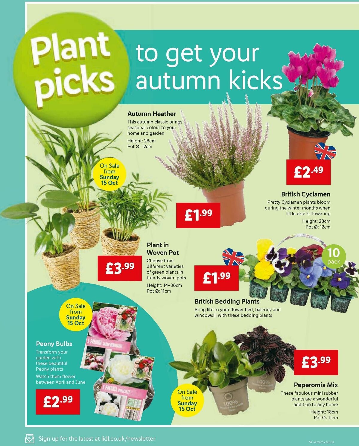 LIDL Offers from 12 October