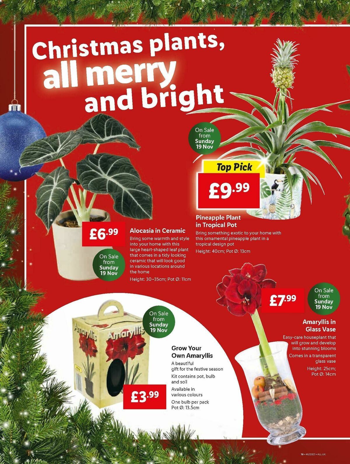 LIDL Offers from 16 November