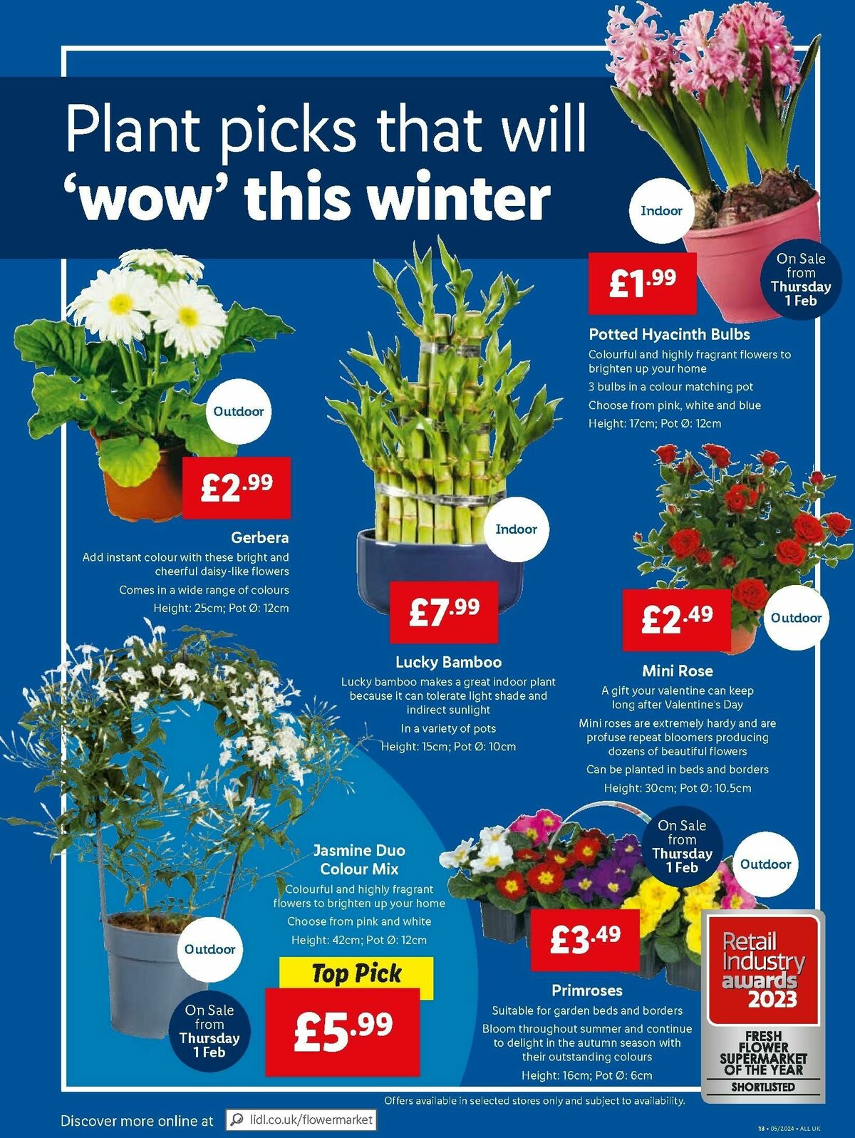 LIDL Offers from 1 February