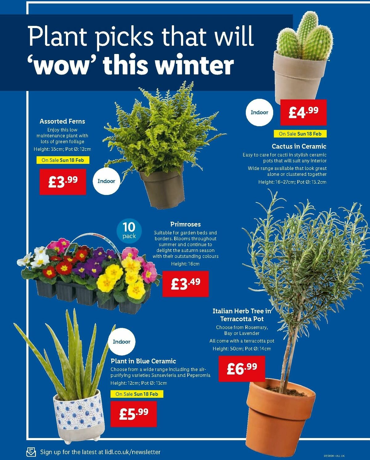 LIDL Offers from 15 February