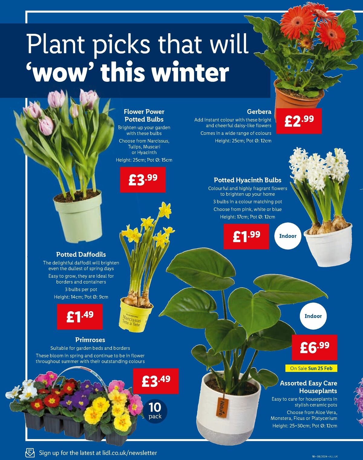 LIDL Offers from 22 February