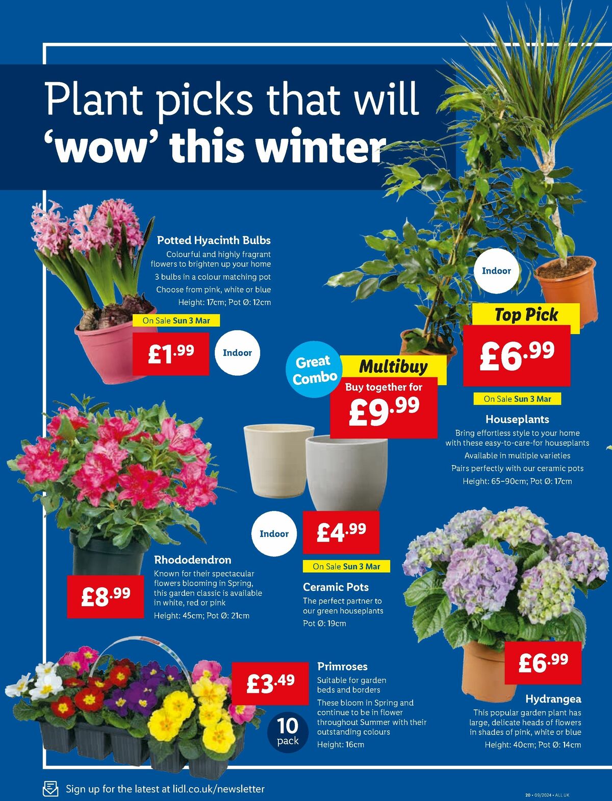 LIDL Offers from 29 February