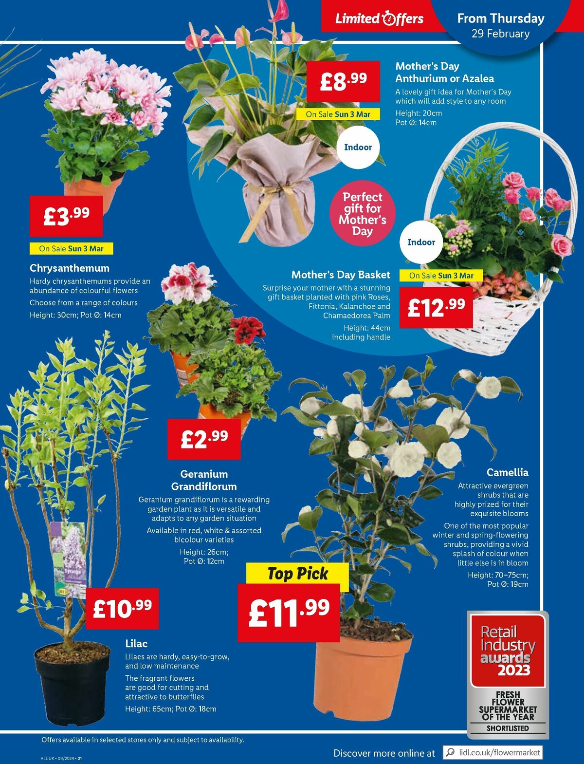 LIDL Offers from 29 February