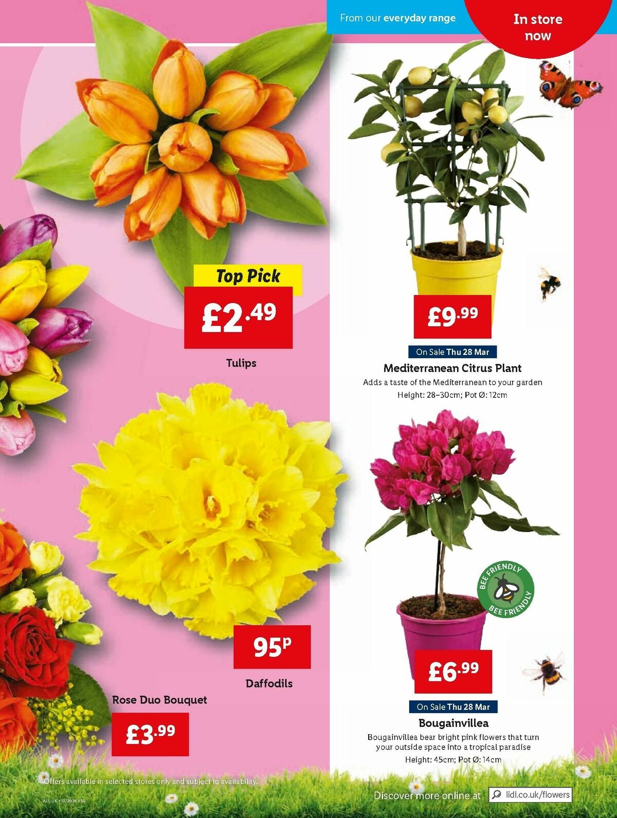 LIDL Offers from 28 March