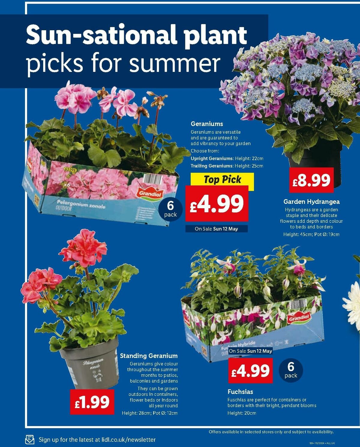 LIDL Offers from 9 May