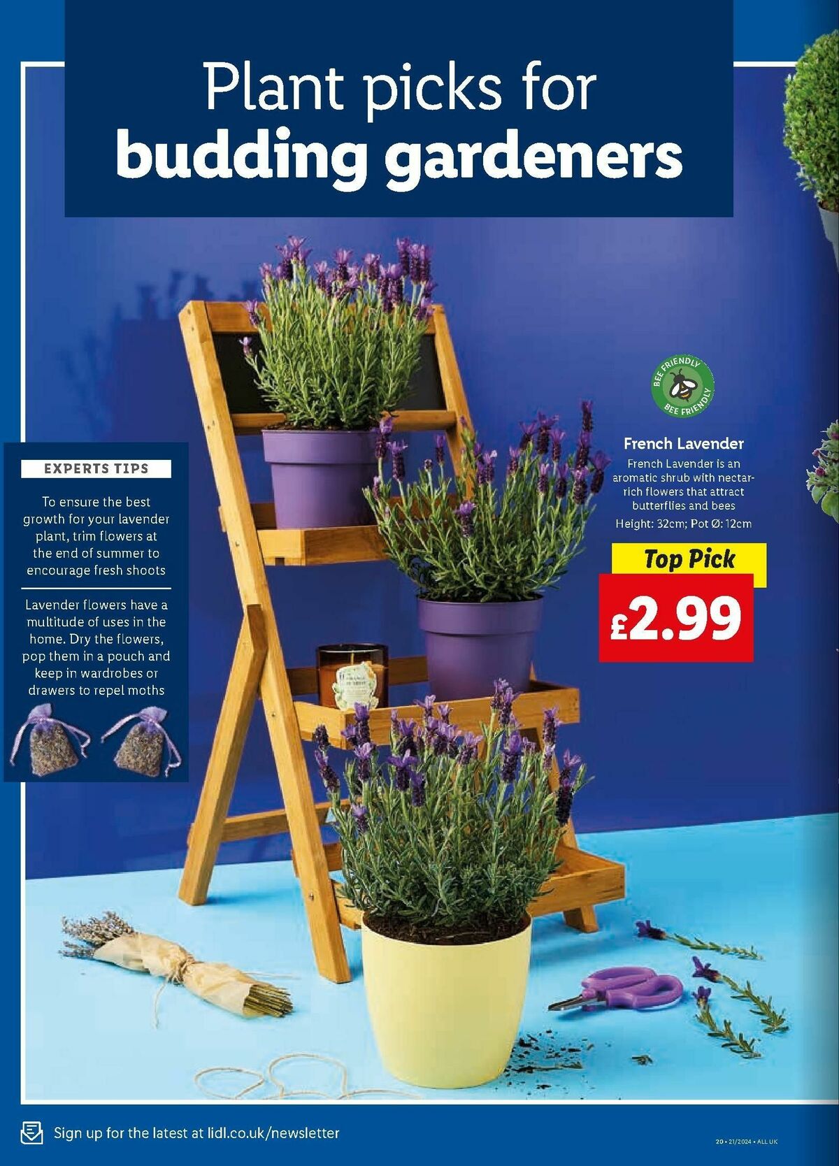 LIDL Offers from 23 May