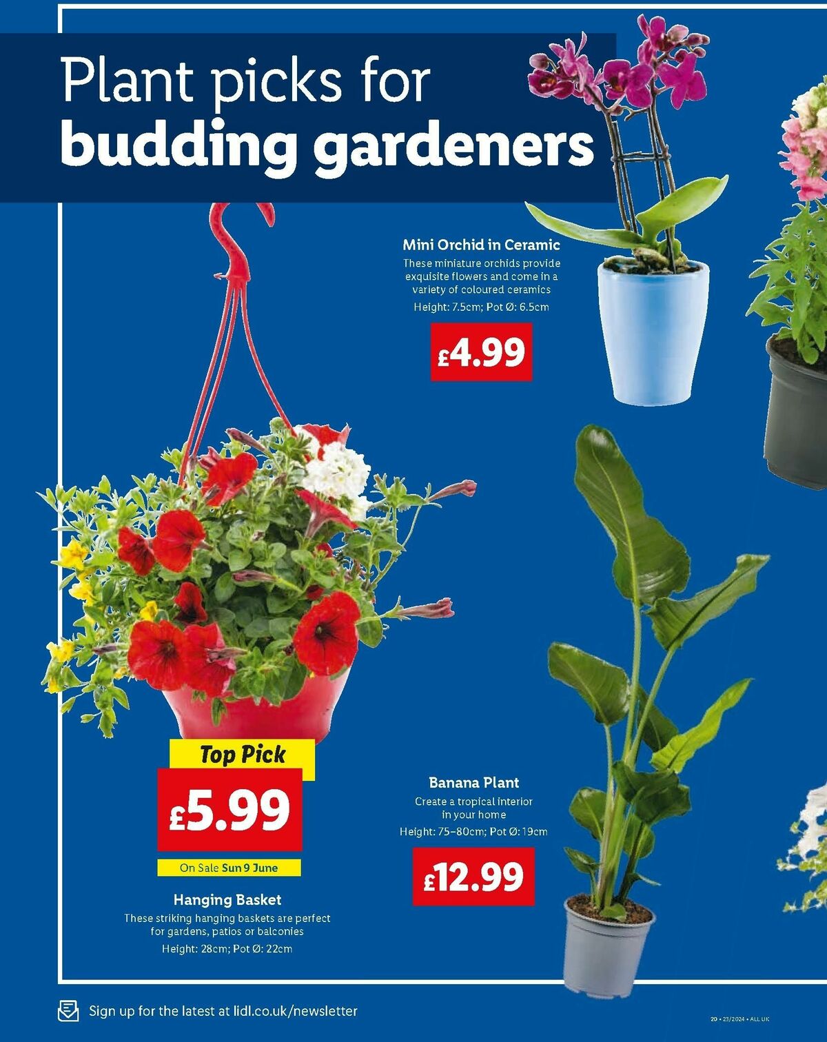 LIDL Offers from 6 June