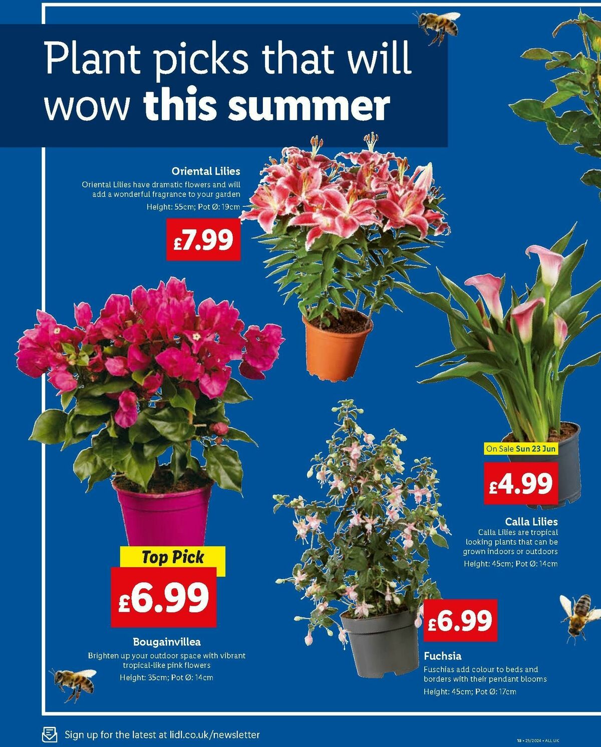 LIDL Offers from 20 June