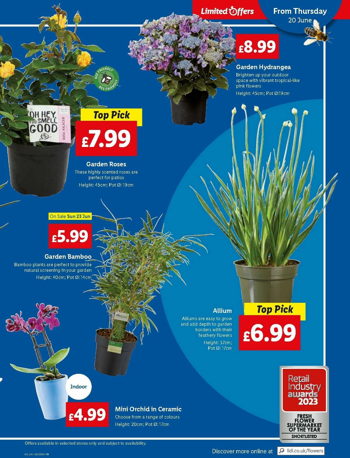 LIDL Offers from 20 June