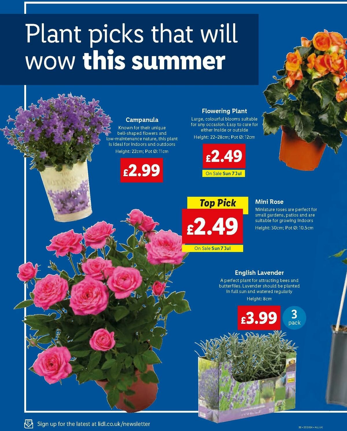 LIDL Offers from 4 July