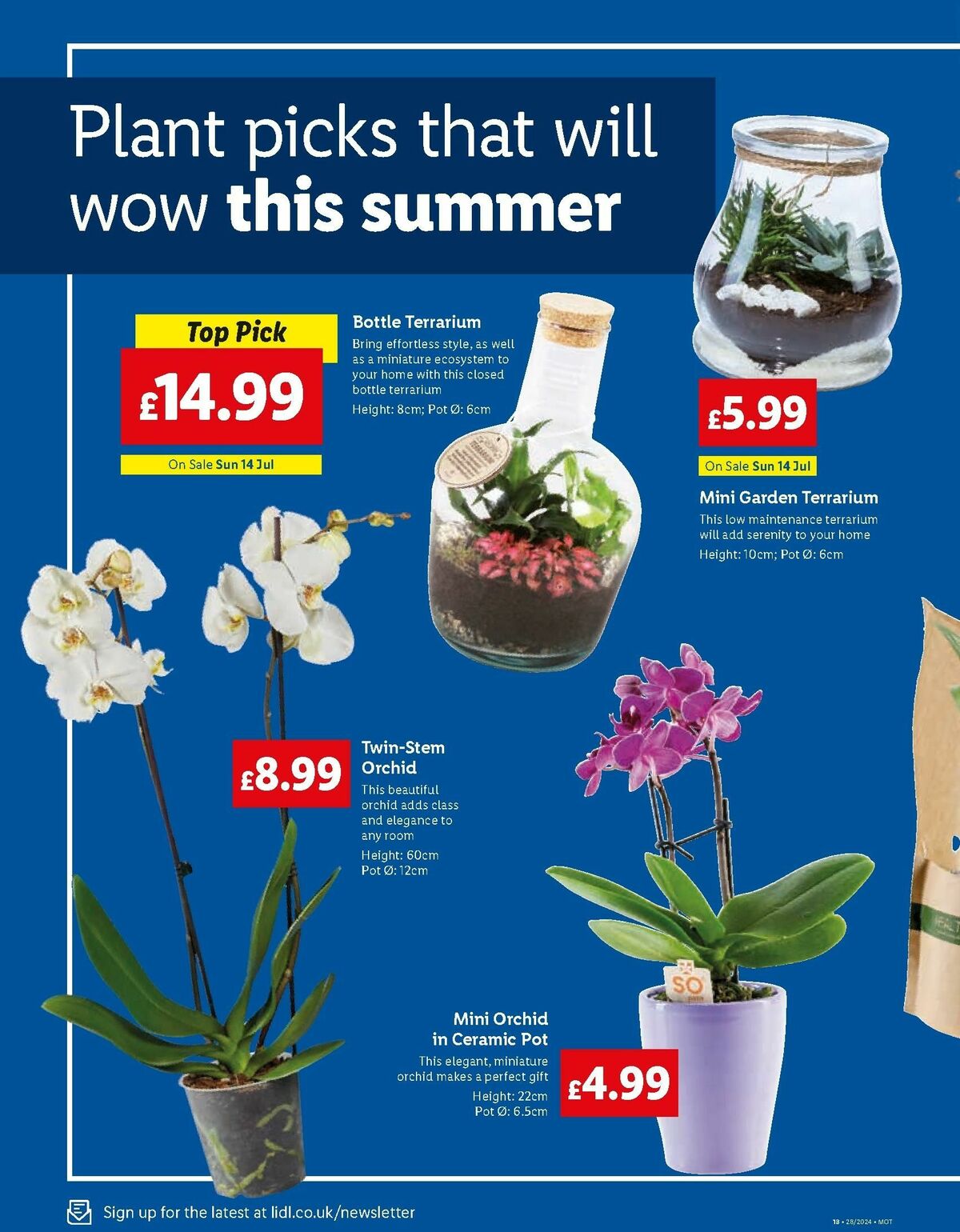 LIDL Offers from 11 July