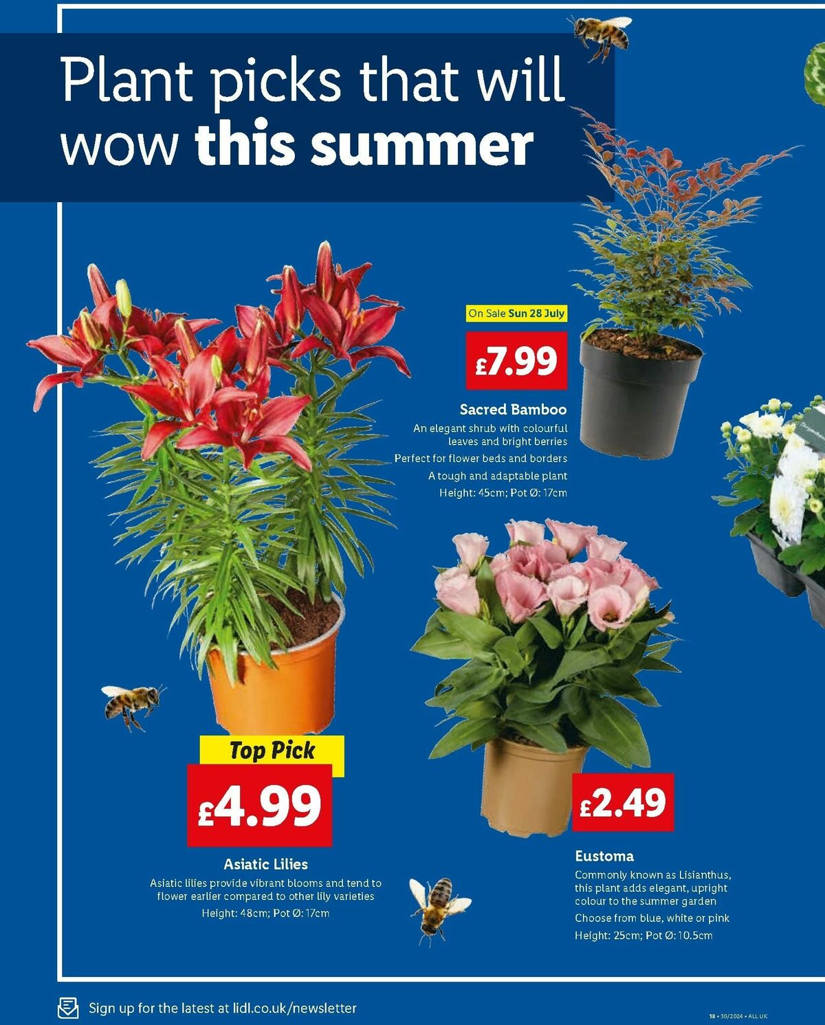 LIDL Offers from 25 July