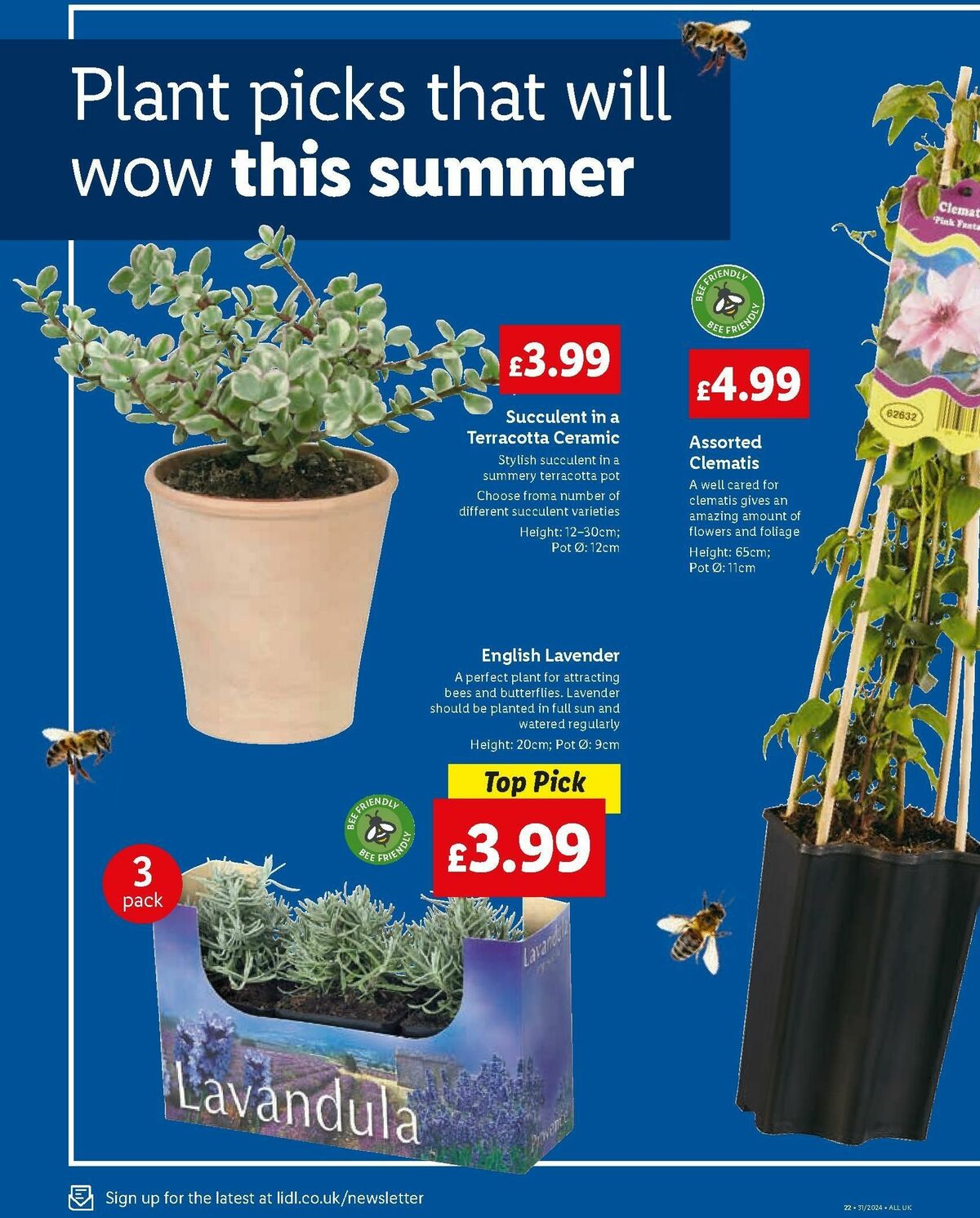 LIDL Offers from 1 August