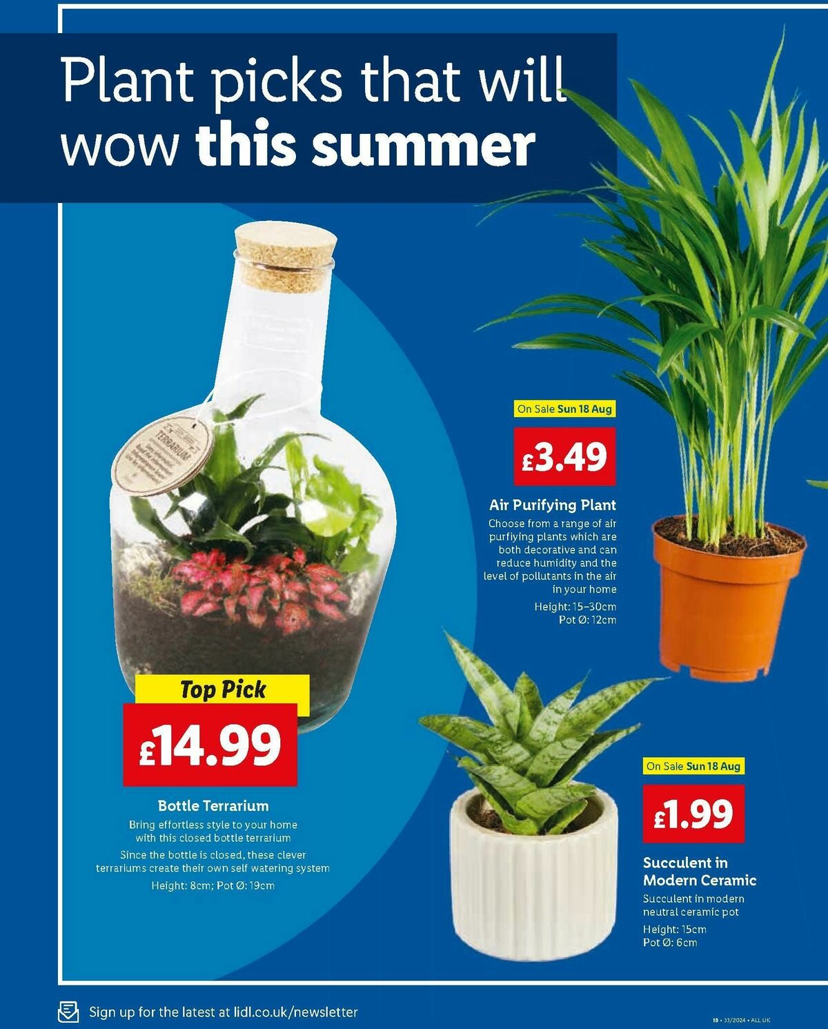 LIDL Offers from 15 August