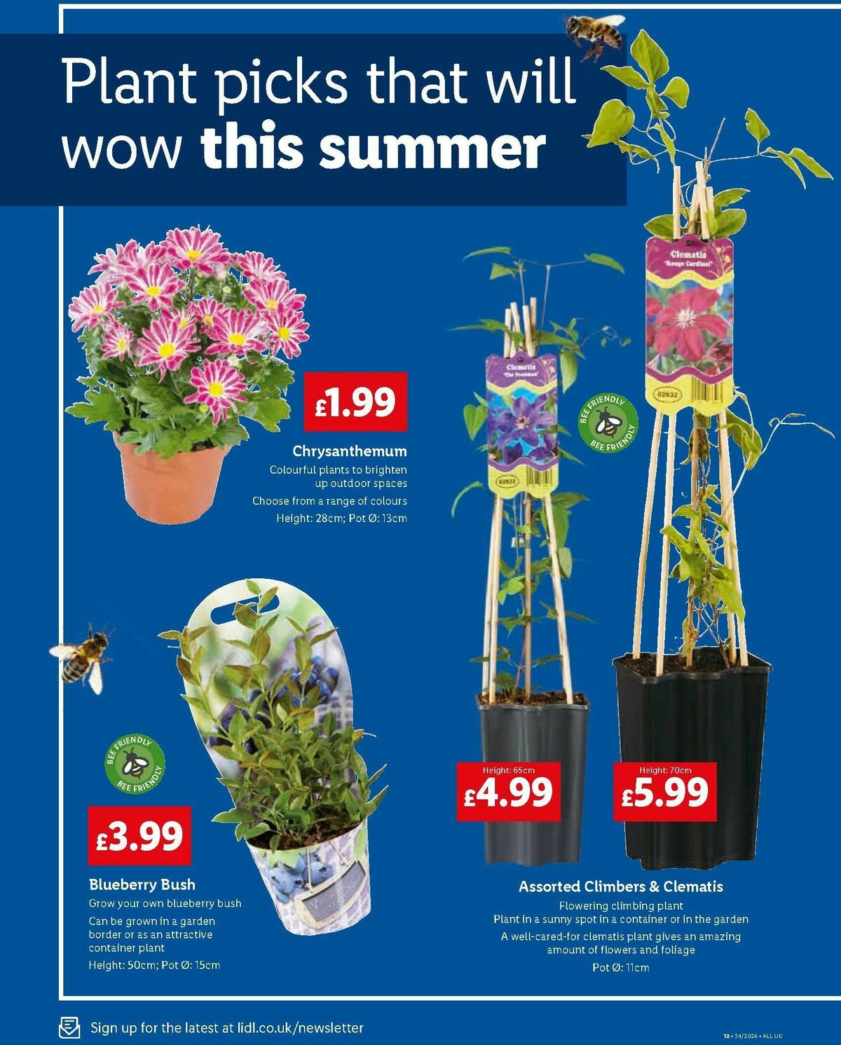 LIDL Offers from 22 August