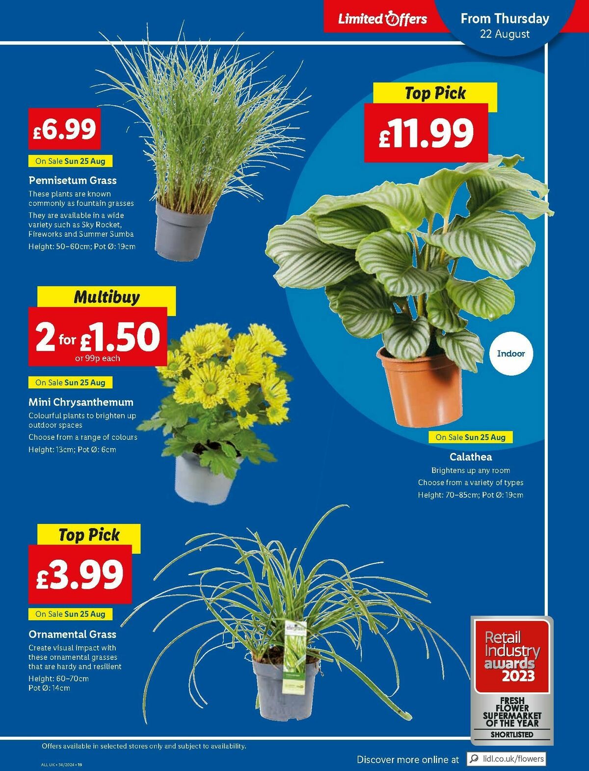 LIDL Offers from 22 August