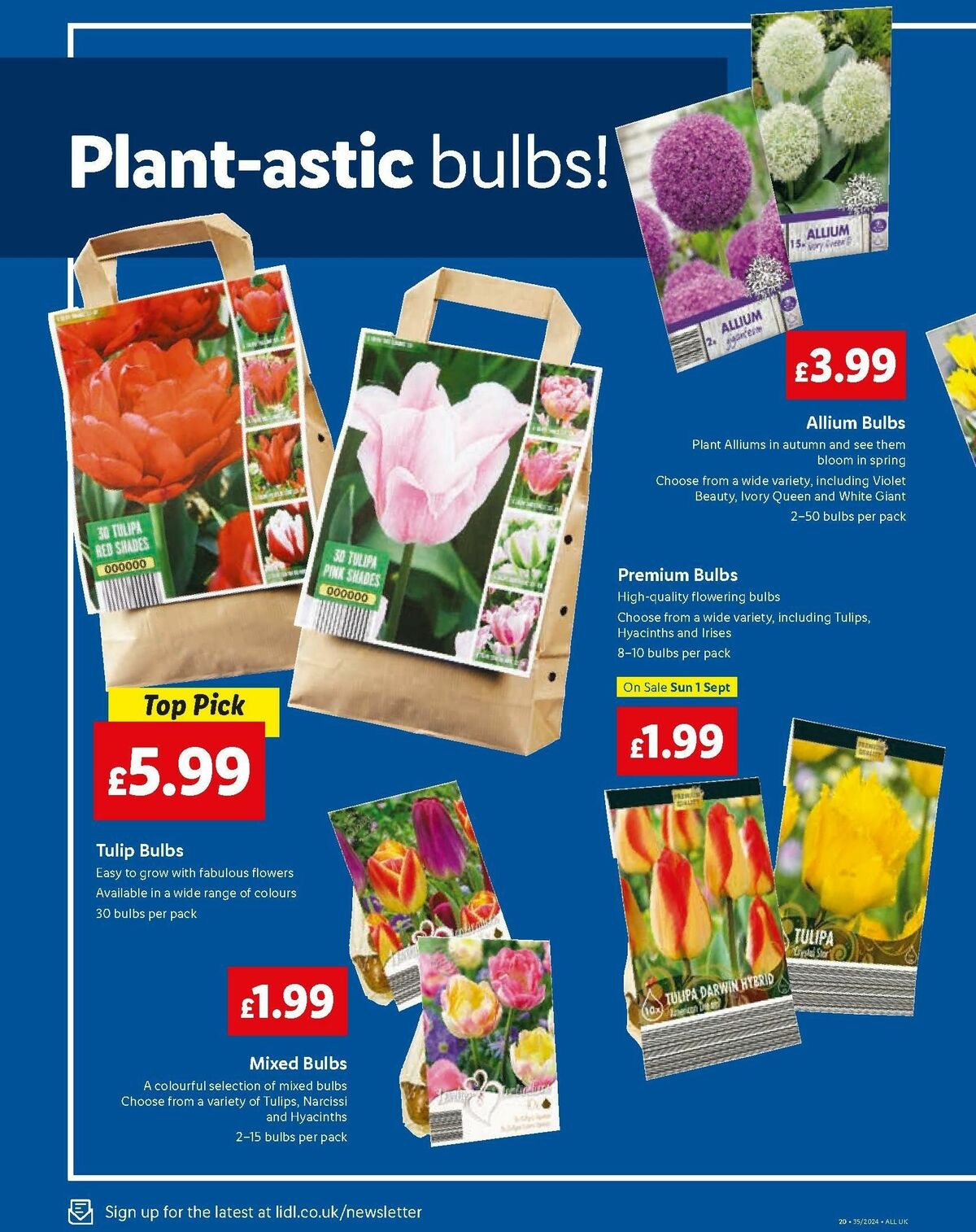 LIDL Offers from 29 August