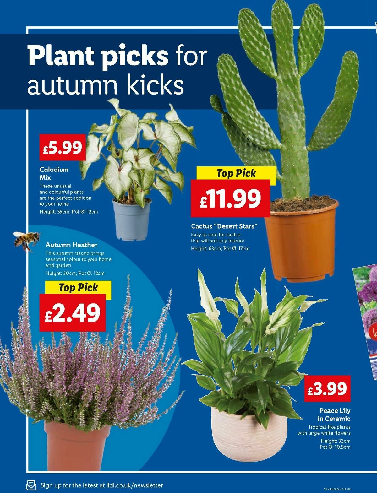 LIDL Offers from 19 September