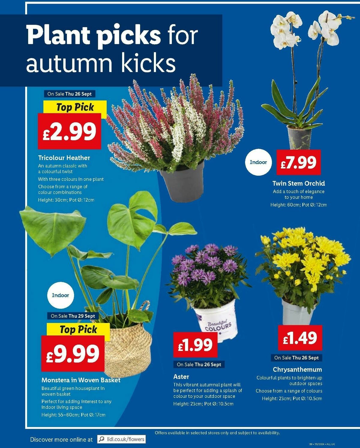 LIDL Offers from 26 September