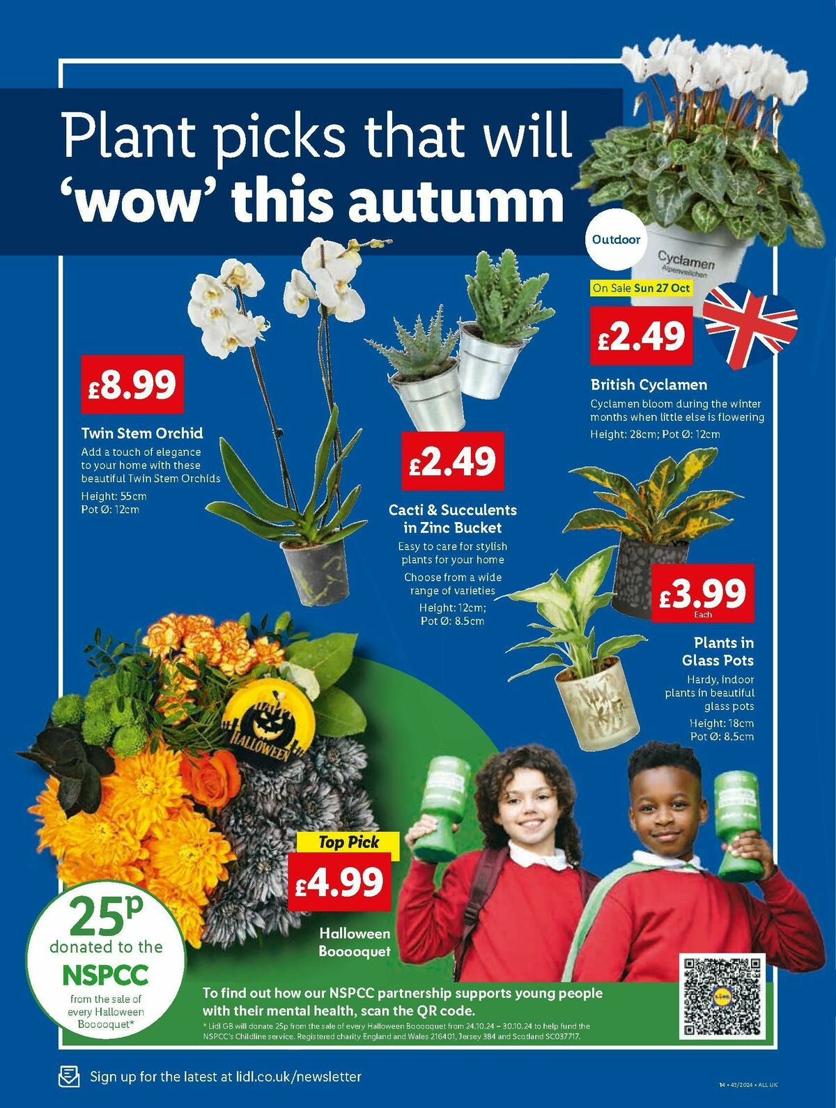 LIDL Offers from 24 October