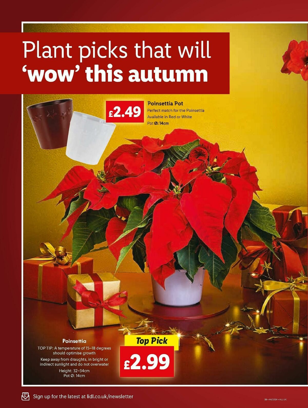 LIDL Offers from 31 October