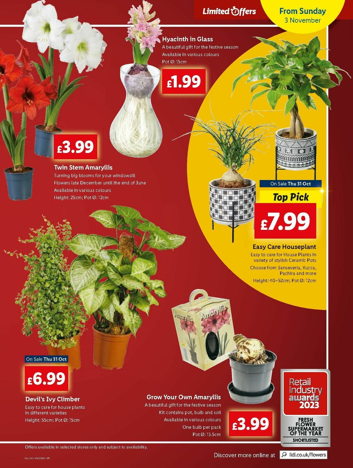 LIDL Offers from 31 October