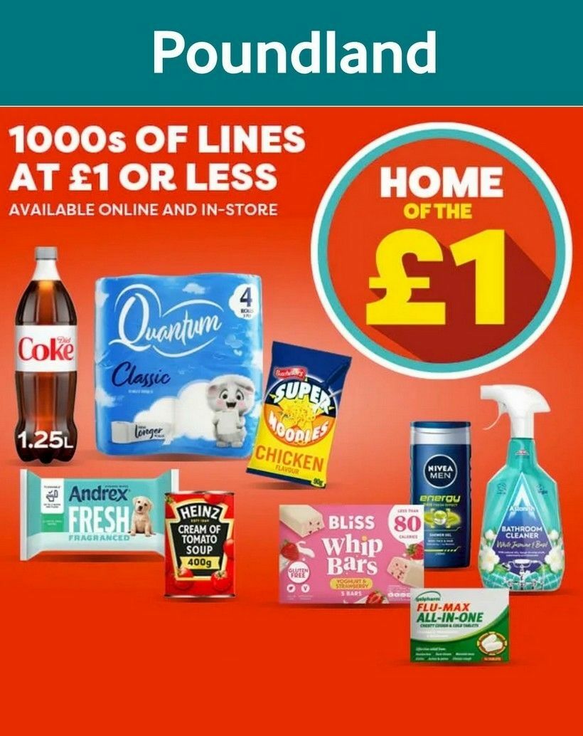 Poundland Offers from 6 January